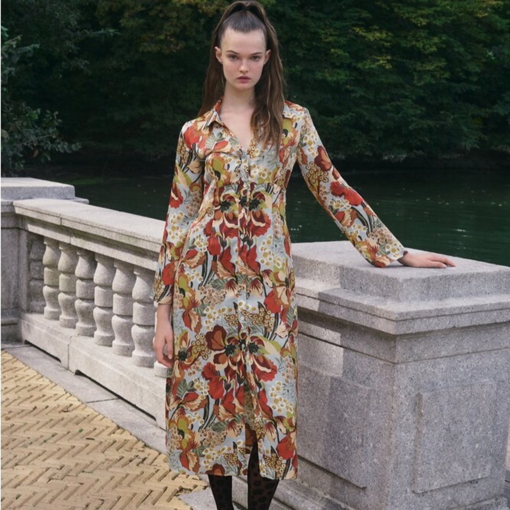 NWOT Zara Multicolor Floral Long Sleeve Dress